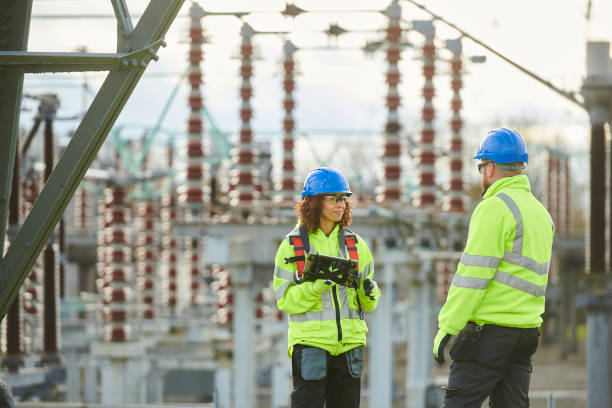 Best Electric Panel Repair  in Silver City, NM