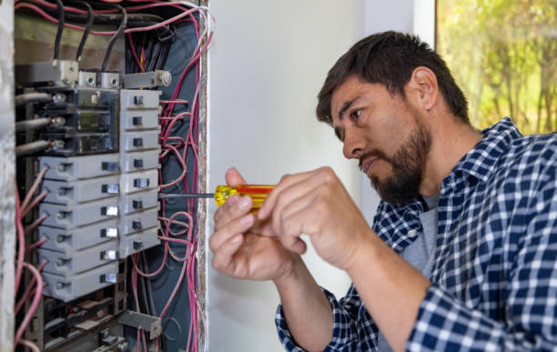 Best Electrical System Inspection  in Silver City, NM